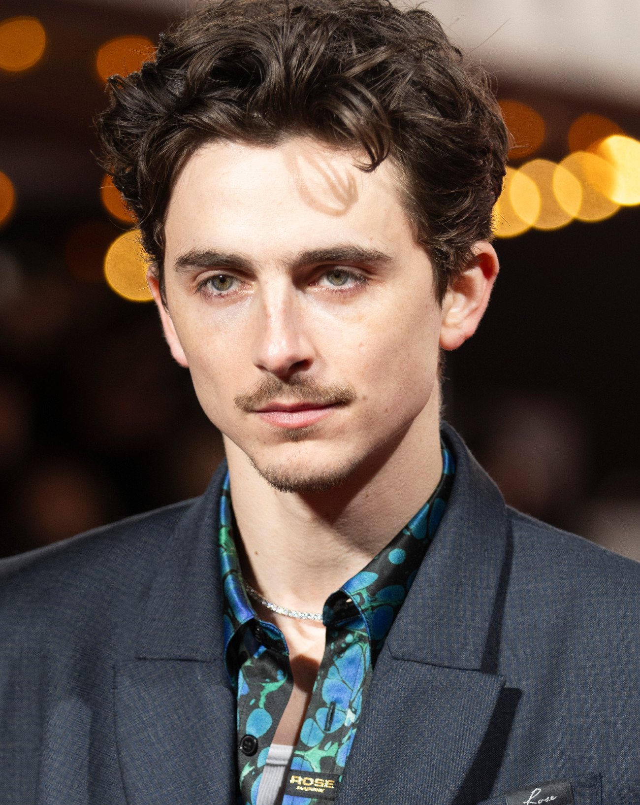 Timothée Chalamet.