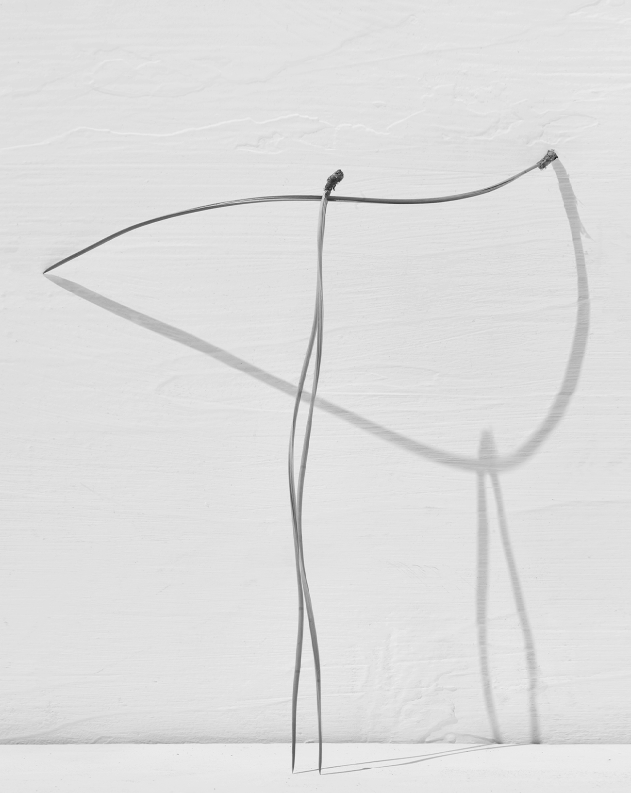 Txema Yeste, Needles, 2019-2024.