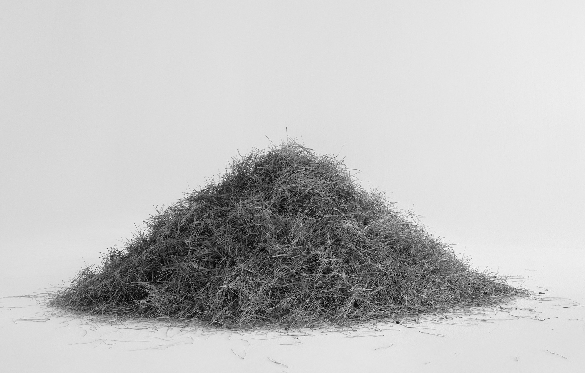 Txema Yeste, Needles, 2019-2024.